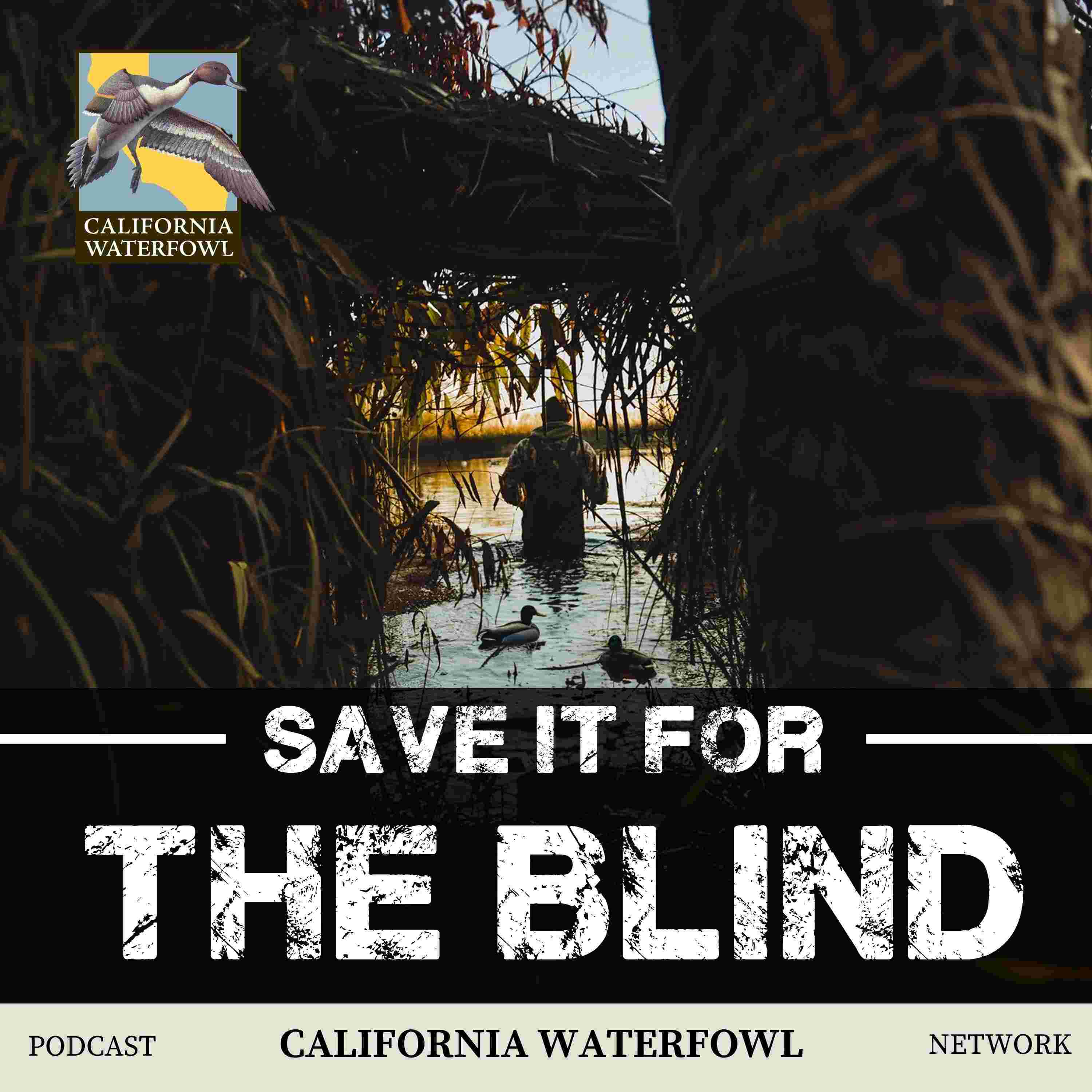 https://media.rss.com/saveitfortheblindpodcast/ep_cover_20250922_030923_da1e53f24b417d08215be09e98b080c8.jpg