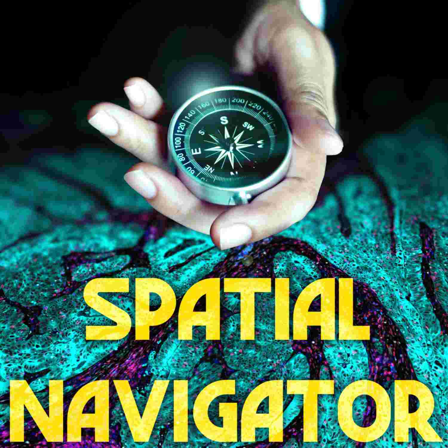 https://media.rss.com/spatial-navigator/ep_cover_20230622_080641_f38f6c77f3d1379dc908fc23ae2dd3a0.jpg