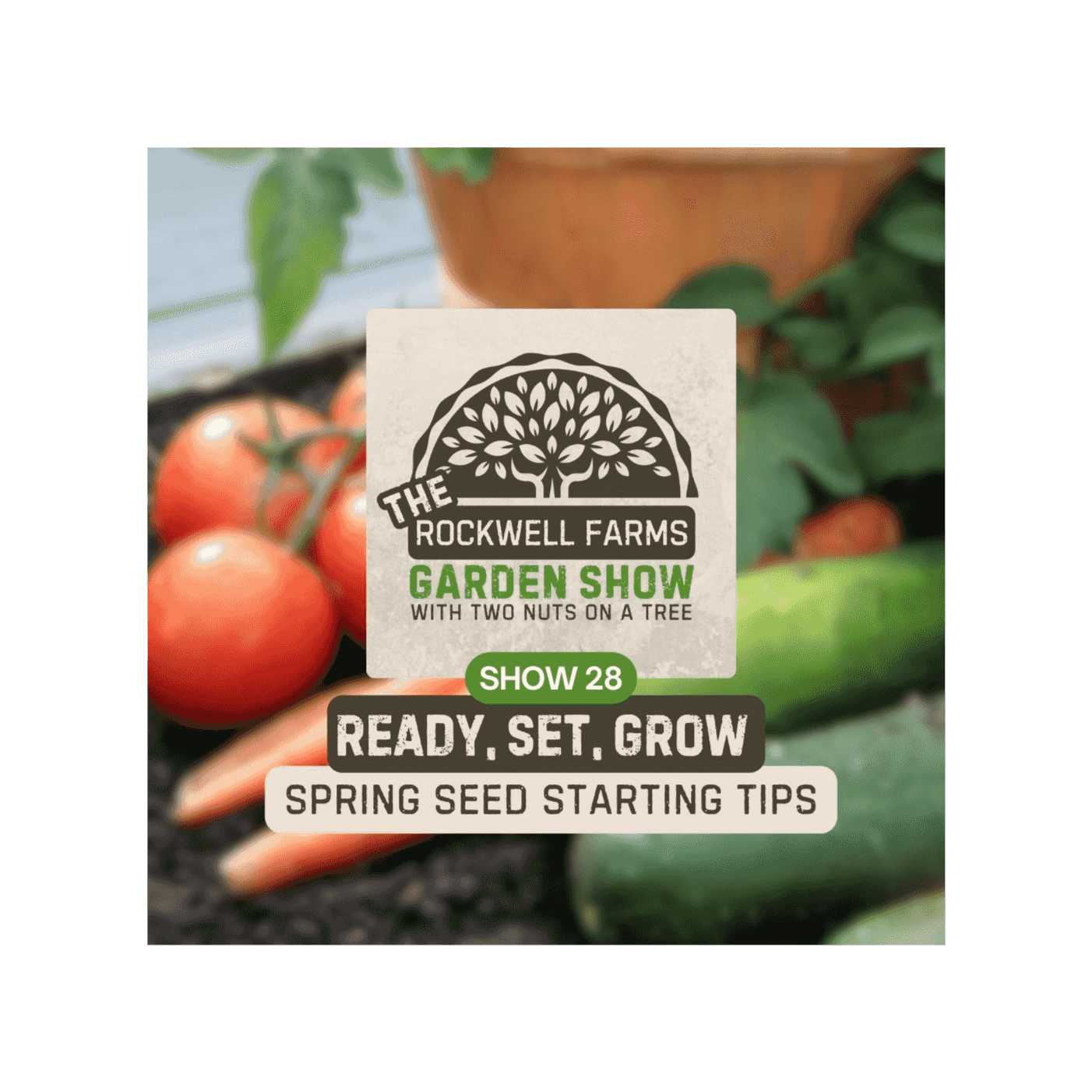 https://media.rss.com/spring-planting-preparing-for-the-winter-rockwell-farms-garden-show-23/ep_cover_20250224_110222_e5a8061c472034ae0779026b6fbb84c8.png