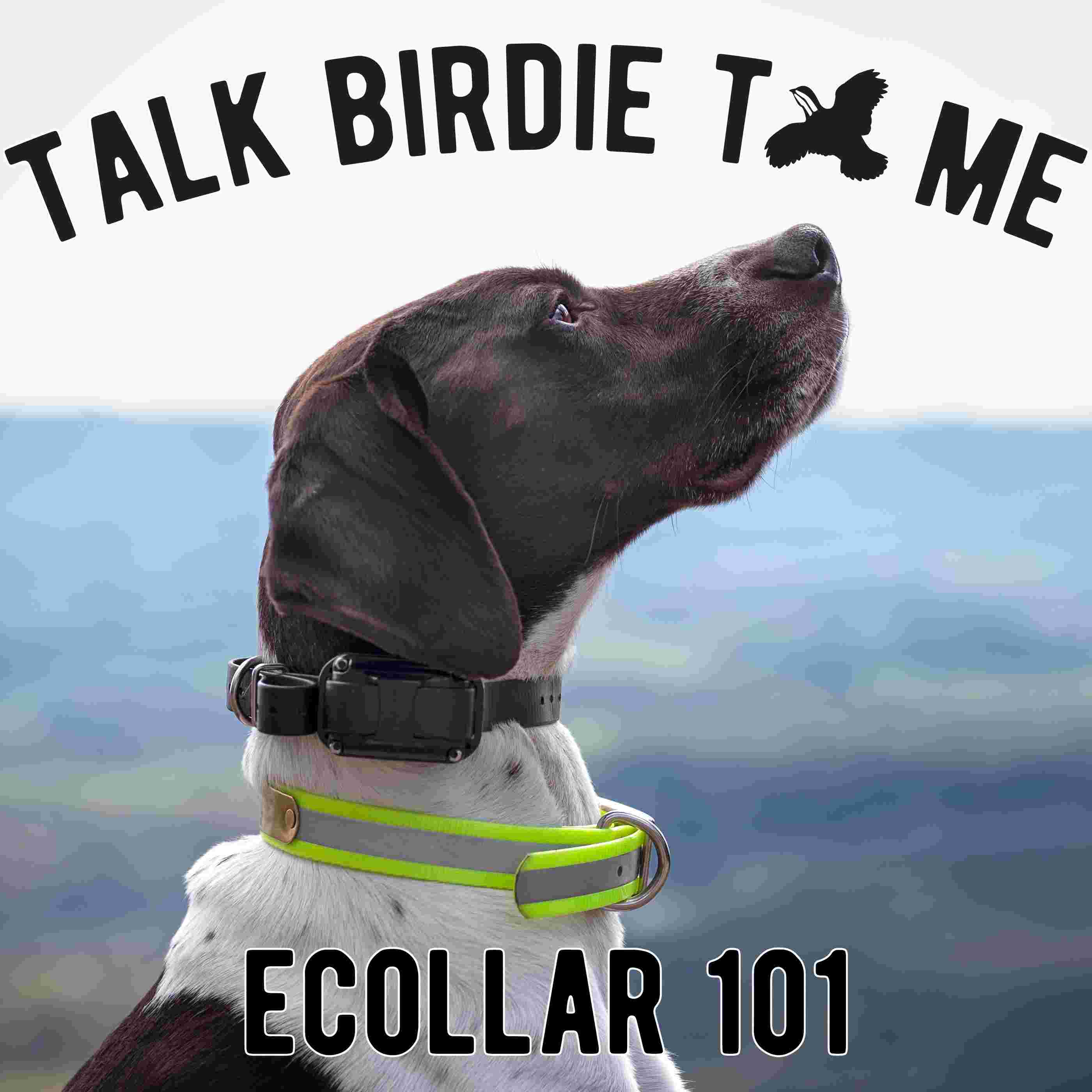 https://media.rss.com/talkbirdietome-1/ep_cover_20250409_110417_e8b25d80218b36d4e62196f1dc7348bb.jpg