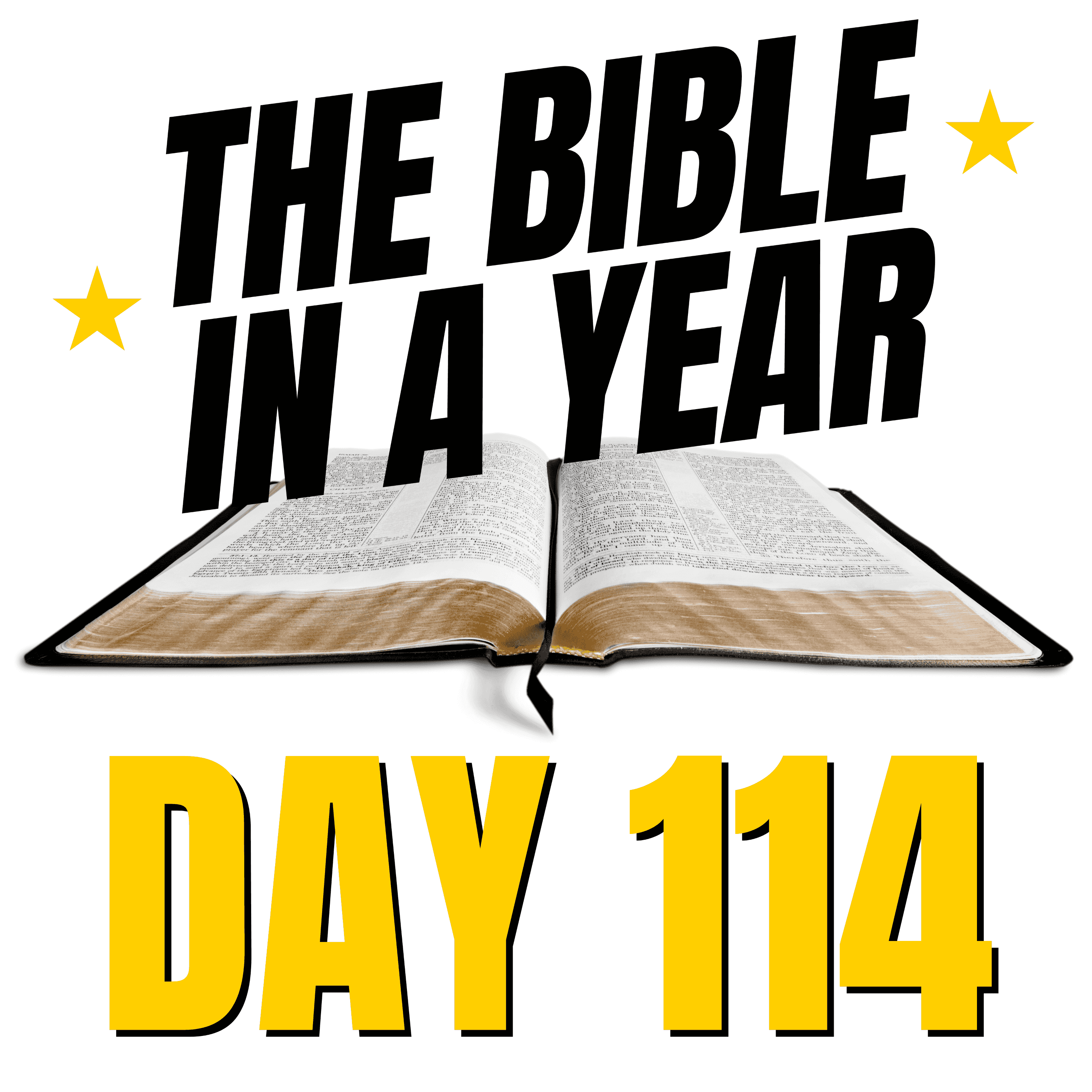 https://media.rss.com/the-bible-in-a-year/ep_cover_20250809_120817_7d33739c15416af245c7ffcb8e8f1e59.png