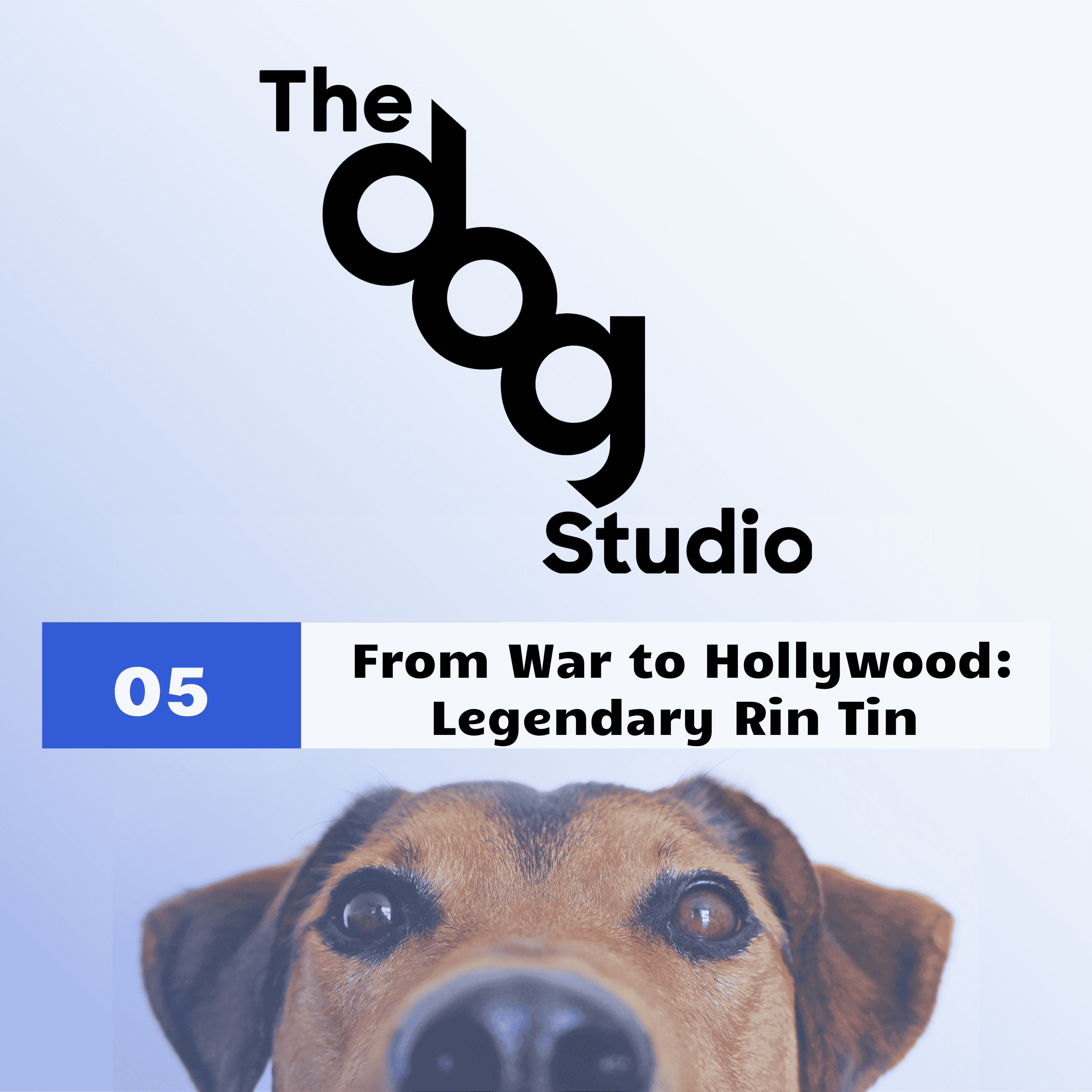 https://media.rss.com/the-dog-studio/ep_cover_20250111_060144_8812a4a86d8d78ca9b75ecdc94e812e8.png