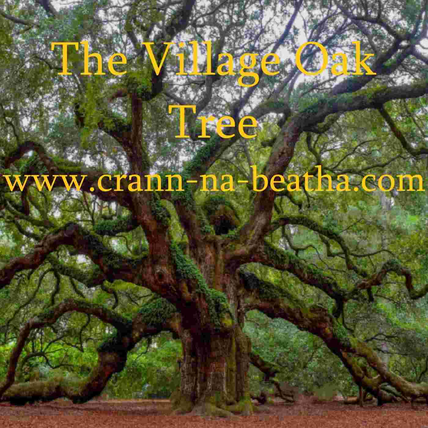 https://media.rss.com/the-village-oak-tree/ep_cover_20250813_070859_4895eb824c38b5cc595f57f2c19c7980.jpg