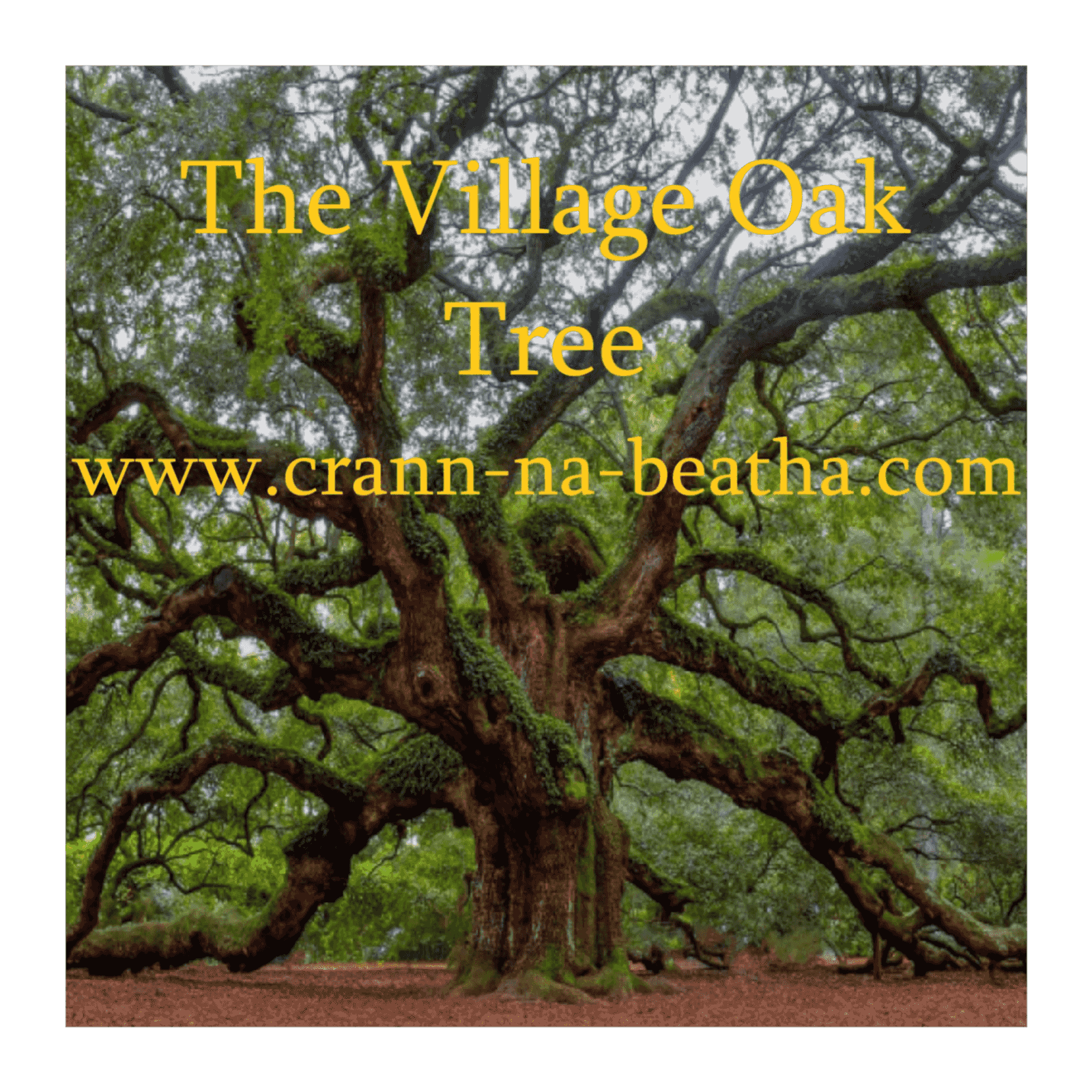 https://media.rss.com/the-village-oak-tree/ep_cover_20250903_080944_4a0f8bd2823bd2e19f2865032604fb9a.png