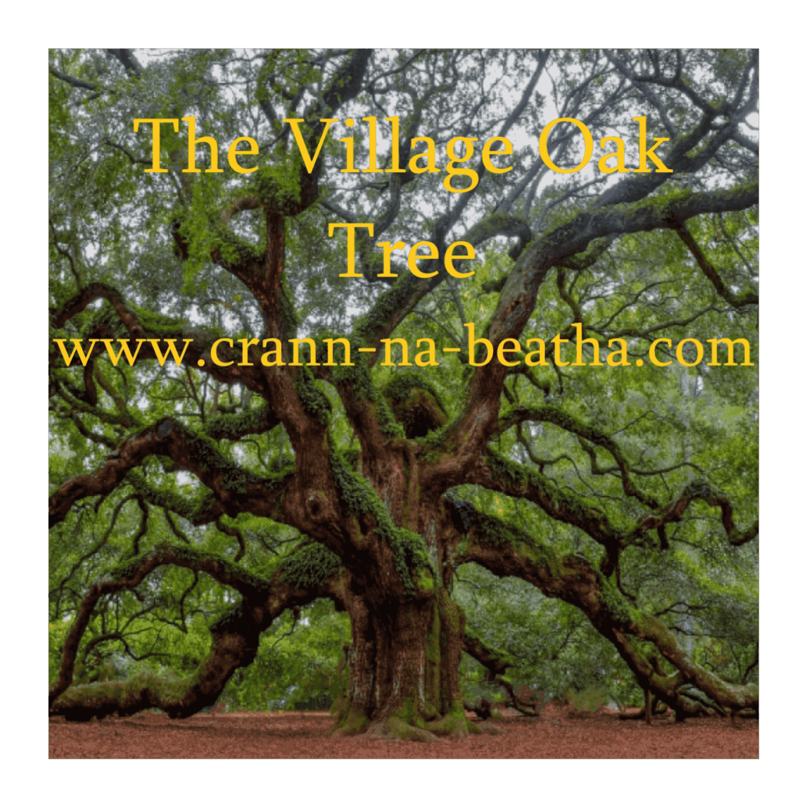 https://media.rss.com/the-village-oak-tree/ep_cover_20250917_070937_7d873f79097b81e93c662d18b07f8817.png