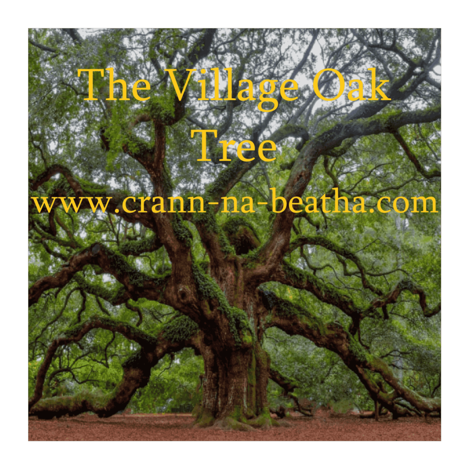 https://media.rss.com/the-village-oak-tree/ep_cover_20251015_071001_da2af5baa2fb31f883ec59f3dce24d9e.png