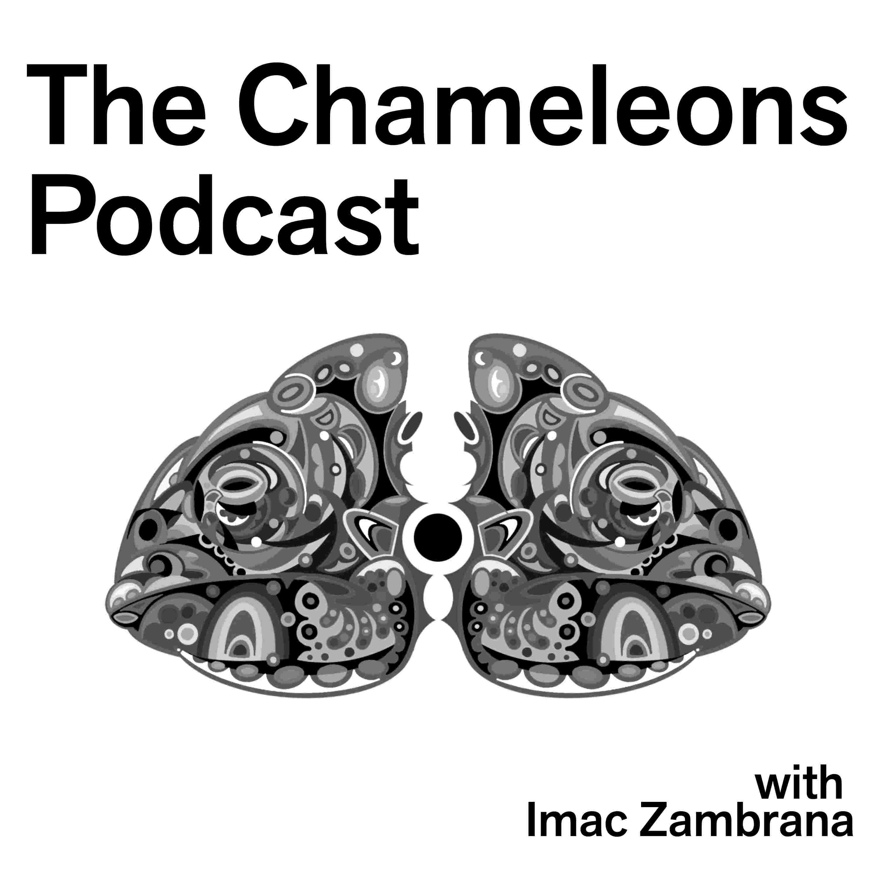https://media.rss.com/thechameleonspodcast/ep_cover_20240312_070327_dcd8f7be845dd21b1cd331e5c45d4715.jpg
