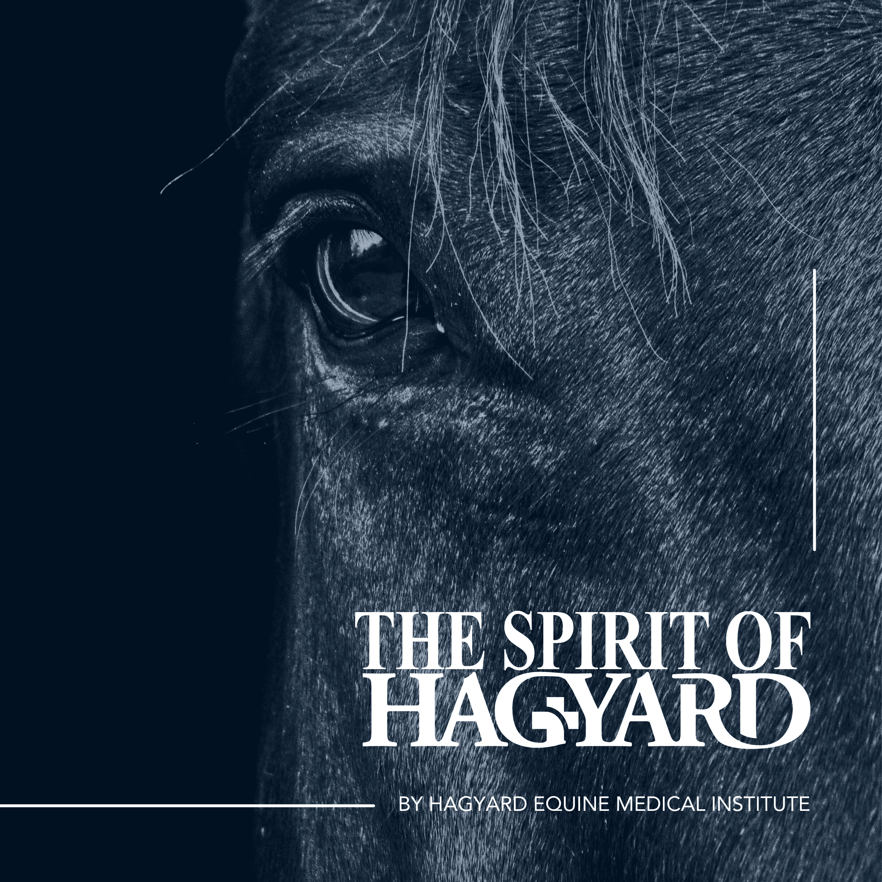 https://media.rss.com/thespiritofhagyard/ep_cover_20240301_050355_d93f2f5b05ec4d14bd6889932df23637.png