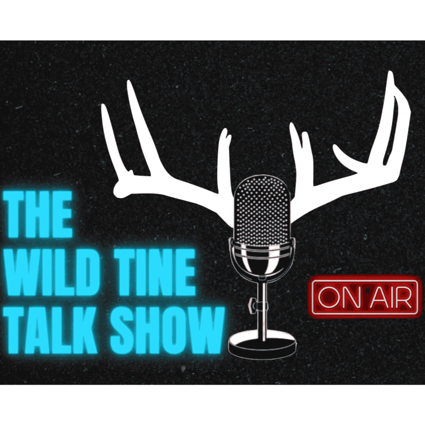 https://media.rss.com/thewildtinetalkshow/ep_cover_20240808_090843_2cfcf0dfeb4f5ba5cdabf2b292fd77ba.png