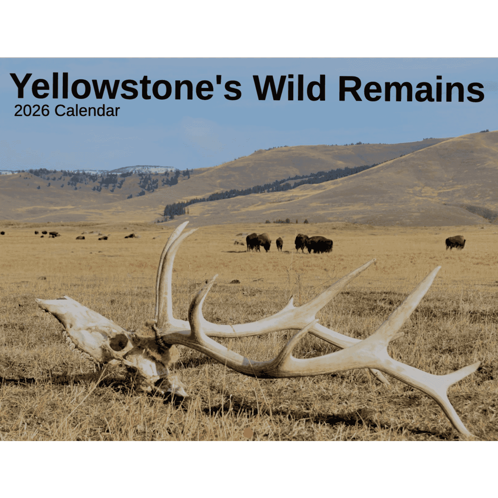 https://media.rss.com/this-week-in-yellowstone-national-park/ep_cover_20251029_091051_b31cbbc281a4bcebb77fe90dc12d5a7b.png