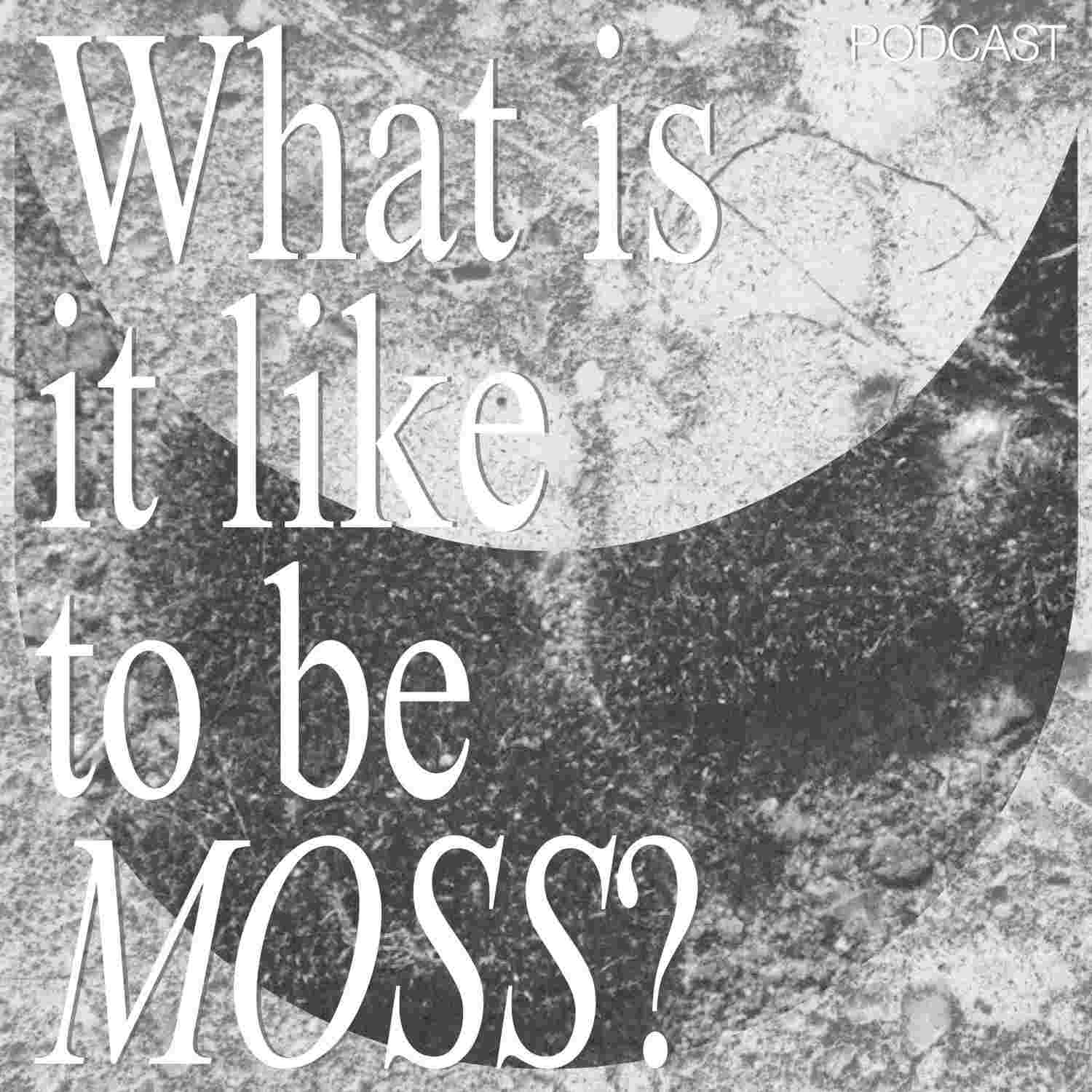 https://media.rss.com/what-is-it-like-to-be-moss/ep_cover_20230324_100356_b685bc632de42643b343e9205525d390.jpg