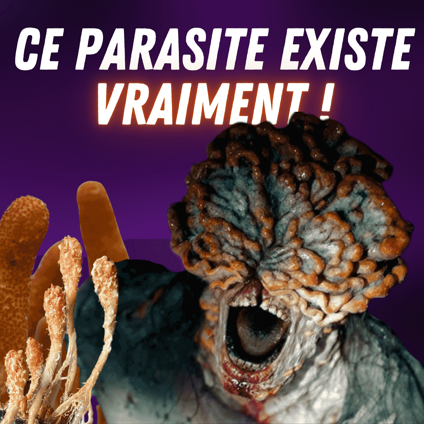 https://medias.podcastics.com/podcastics/episodes/7819/artwork/cordyceps-le-champignon-bien-reel-qui-a-inspire-the-last-of-us-science-infuse-culture-scientifique-et-curiosites-etonnantes.png.3de6a8b003d8a24e04a64864f45b77ba.png