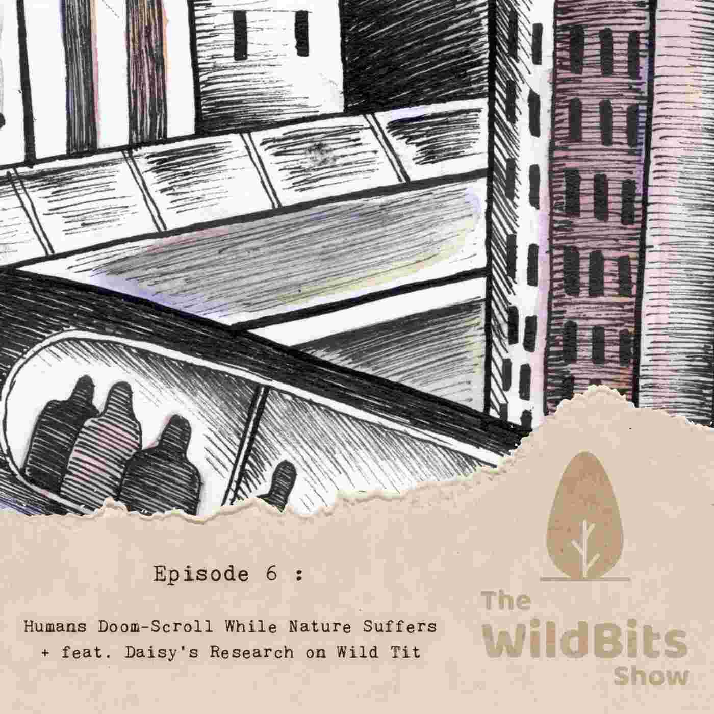 https://podcast.upamanyu.in/media/podcasts/thewildbitsprod/humans-doom-scroll-while-nature-suffers-feat-daisys-research-on-wild-tit_feed.jpg