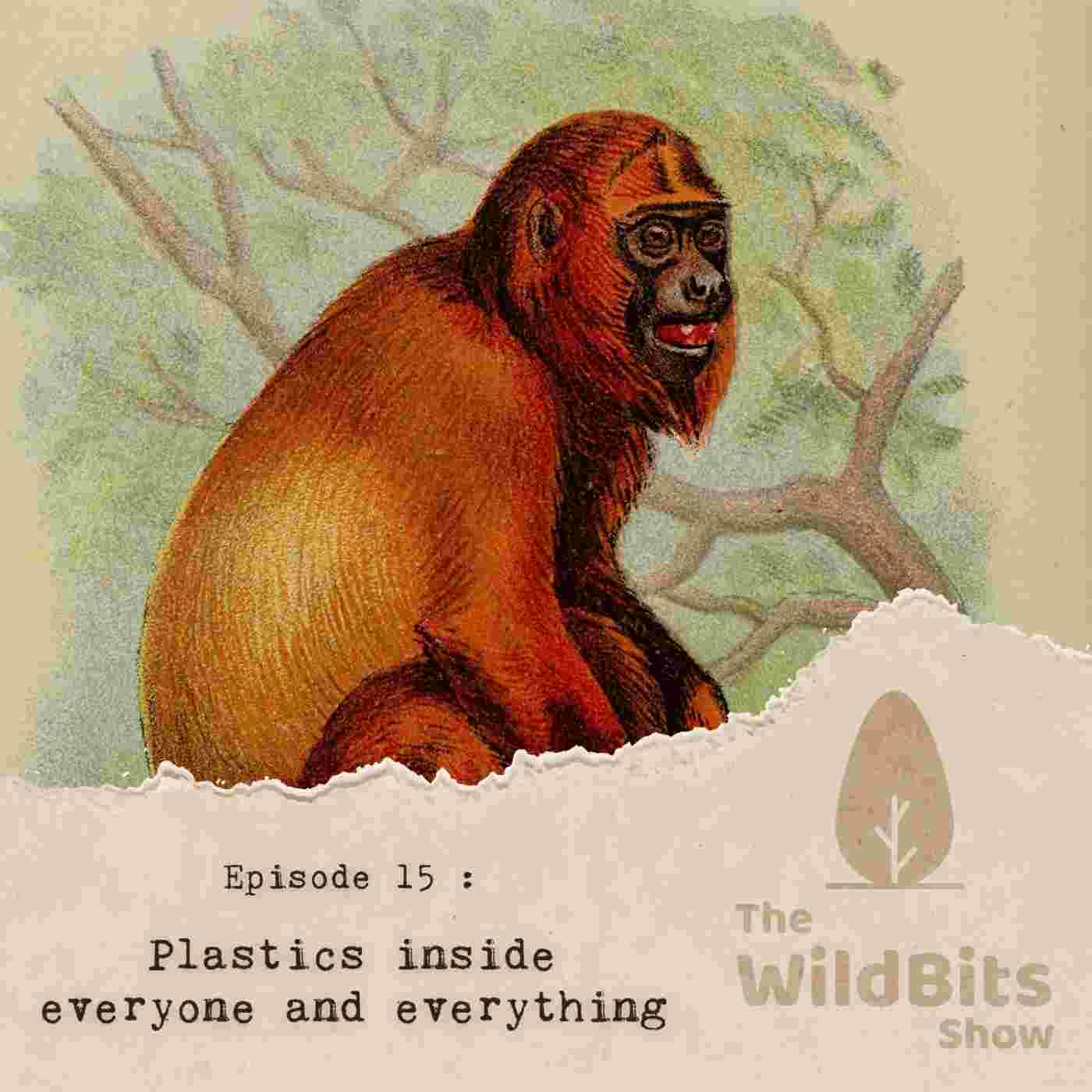 https://podcast.upamanyu.in/media/podcasts/thewildbitsprod/plastics-inside-everyone-and-everything_feed.jpg