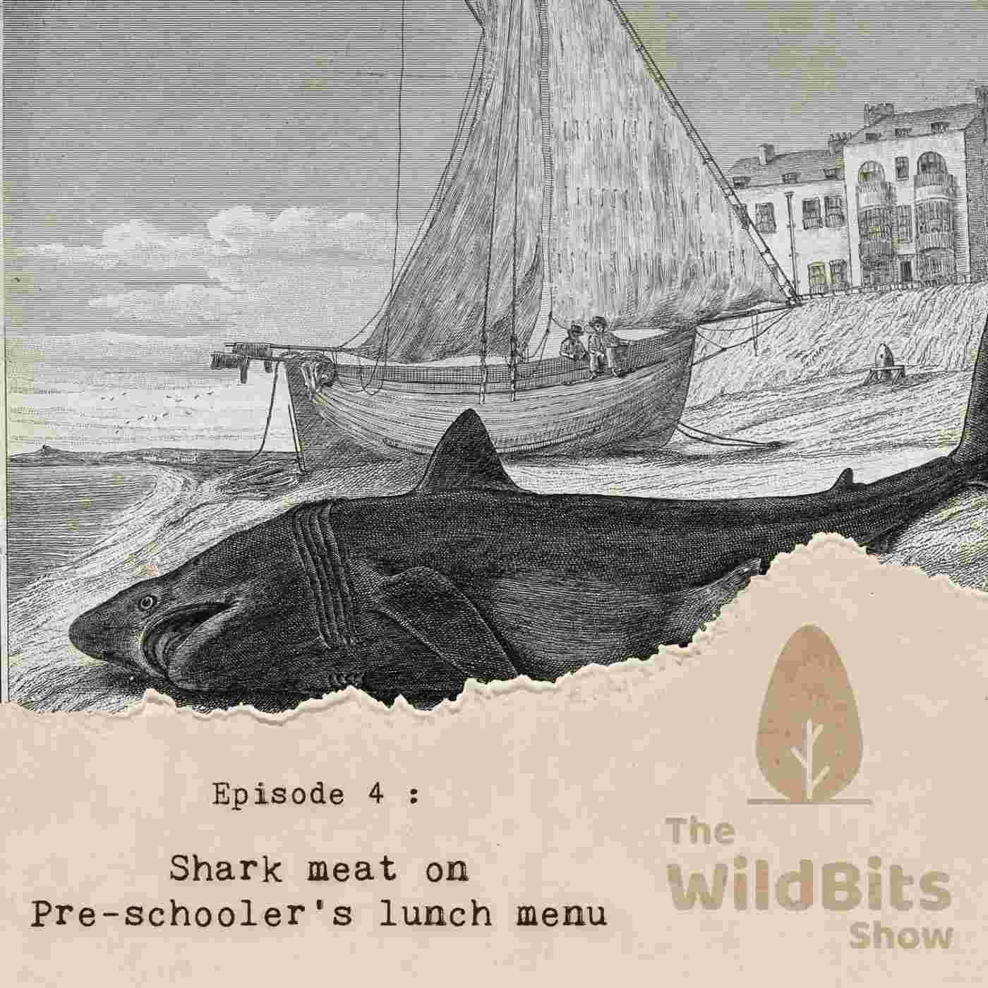 https://podcast.upamanyu.in/media/podcasts/thewildbitsprod/shark-meat-on-pre-schoolers-lunch-menu_feed.jpg