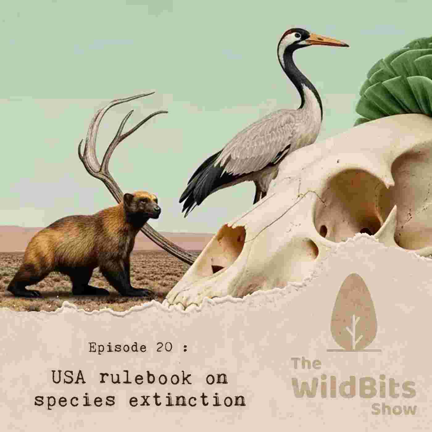 https://podcast.upamanyu.in/media/podcasts/thewildbitsprod/usa-rulebook-on-species-extinction_feed.jpg
