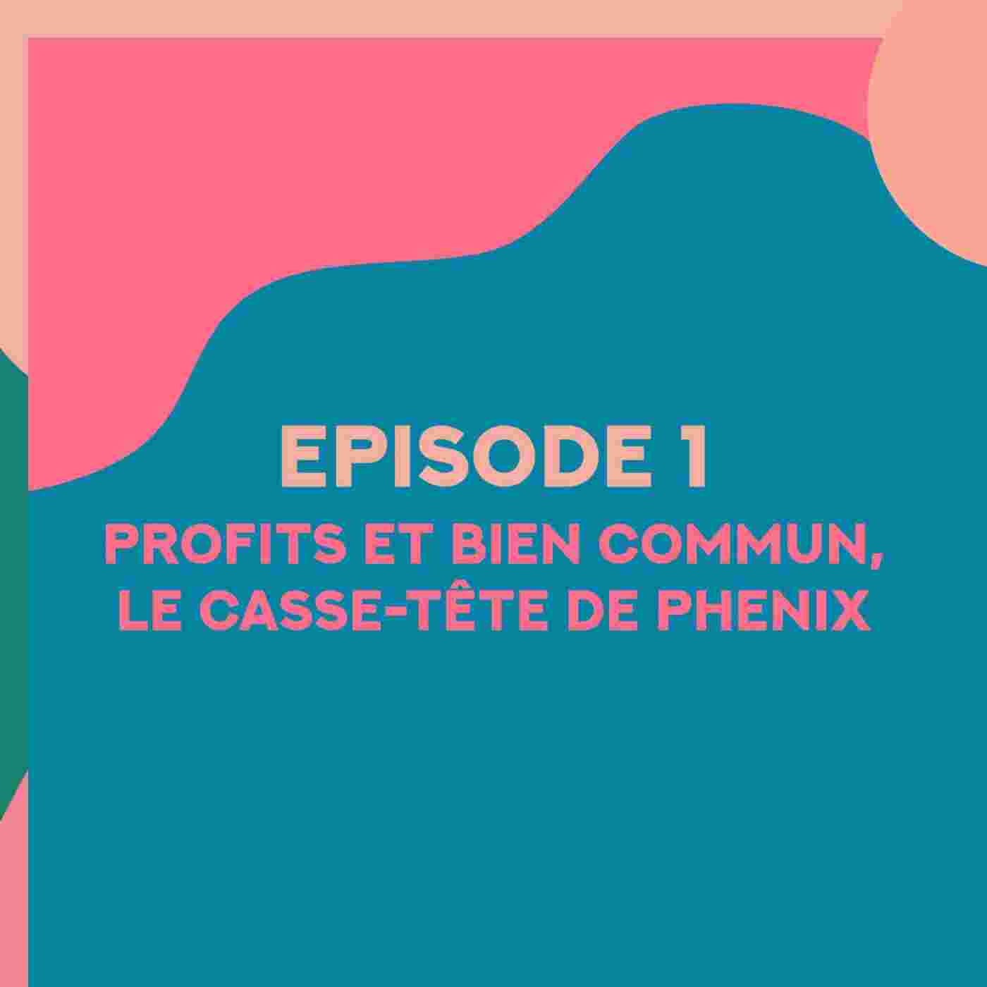 https://s3.castopod.cloud/c545439db873ea1d832582dcc95a88d8b/podcasts/aquiprofitelatechforgood/profits-et-bien-commun-le-casse-tete-de-phenix-mu0ec_feed.jpeg